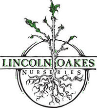Lincoln Oakes Nurseries